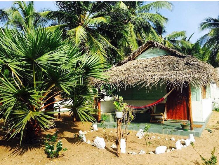 Sun Wind Beach Kalpitiya Kite Resort エクステリア 写真