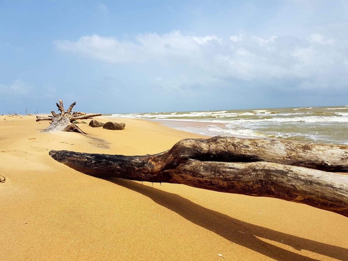 Sun Wind Beach Kalpitiya Kite Resort エクステリア 写真