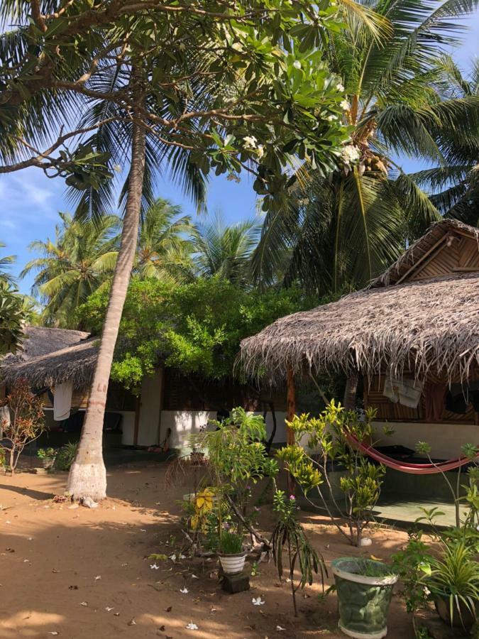 Sun Wind Beach Kalpitiya Kite Resort エクステリア 写真